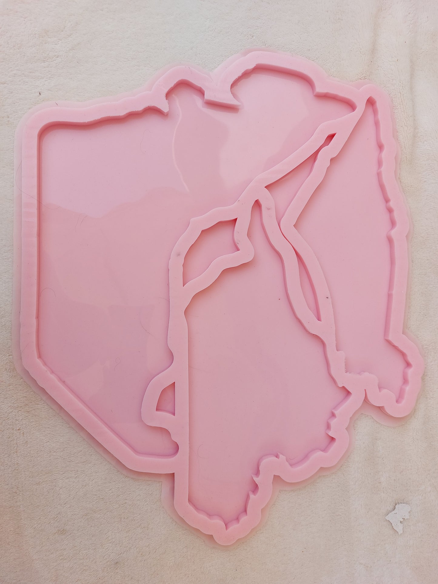 Silicone mold خرائط