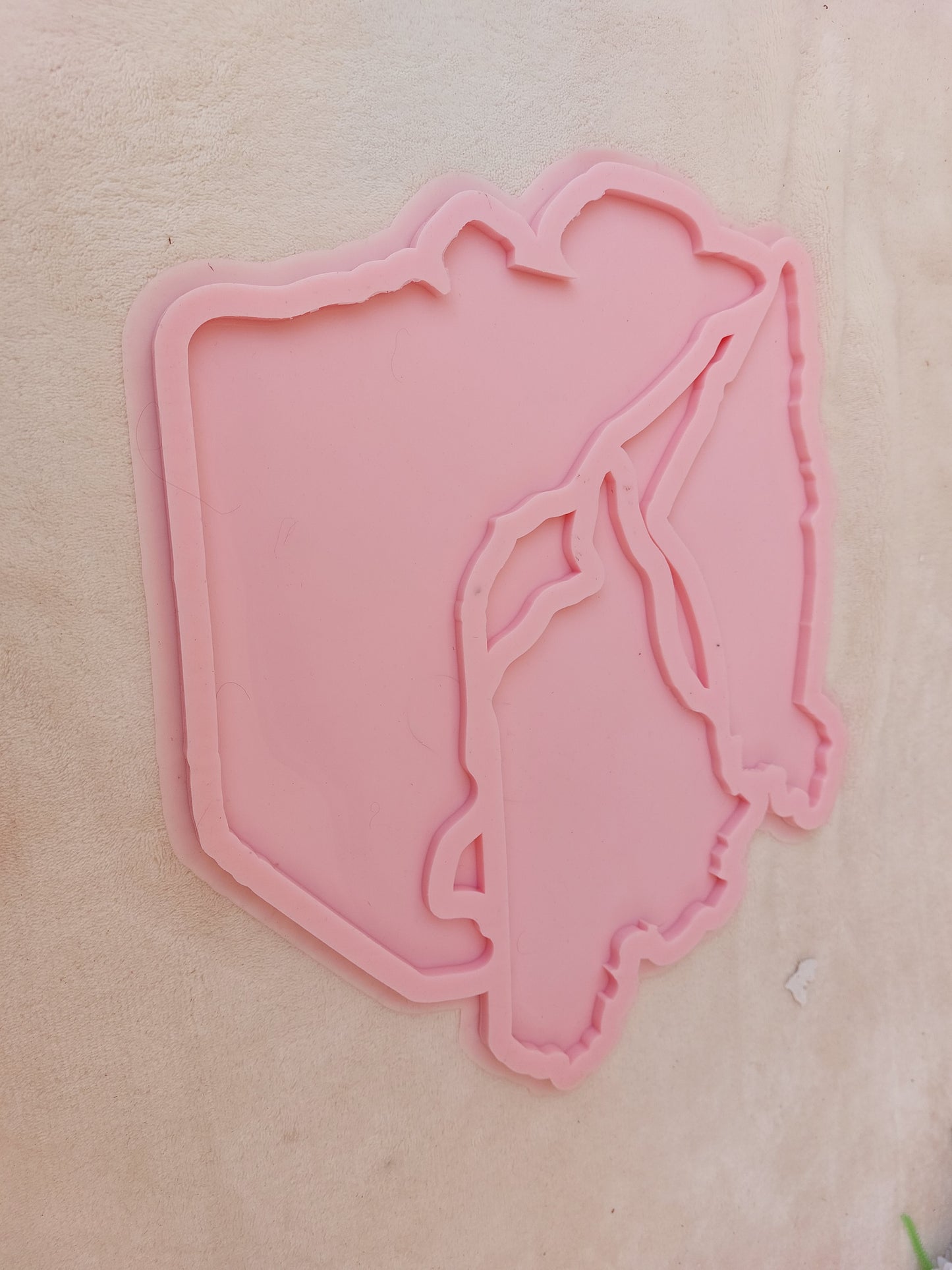 Silicone mold خرائط