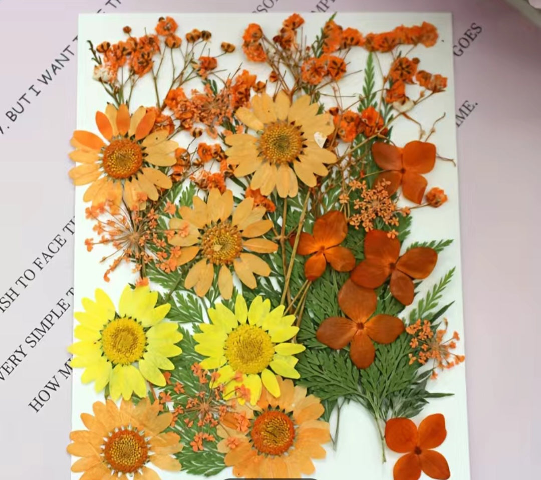 Dried flowers