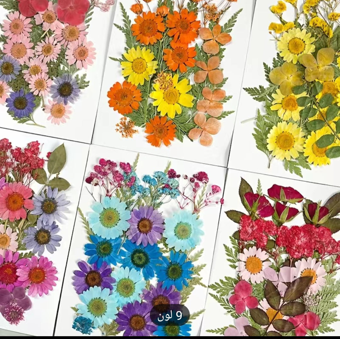 Dried flowers