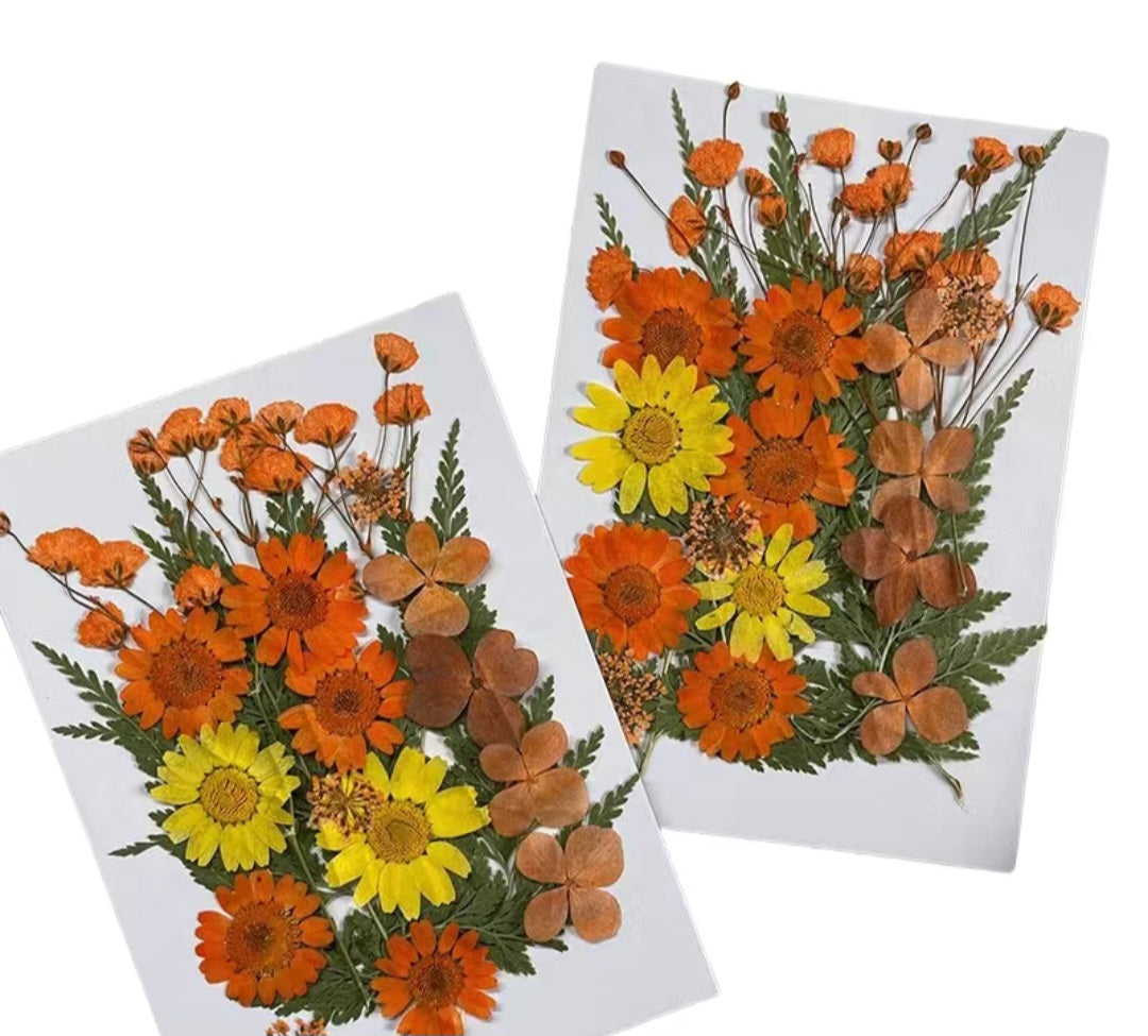 Dried flowers