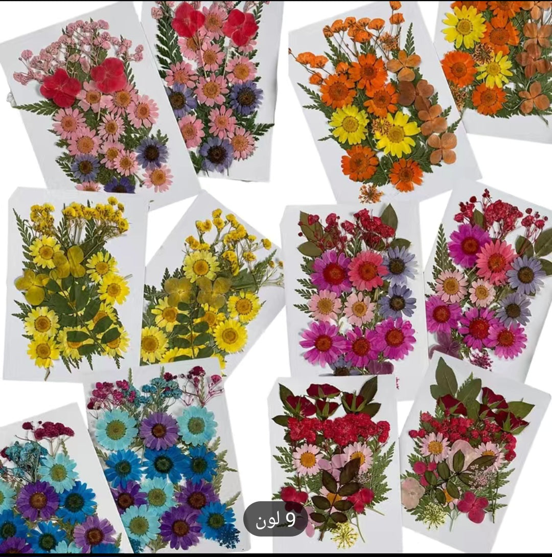 Dried flowers