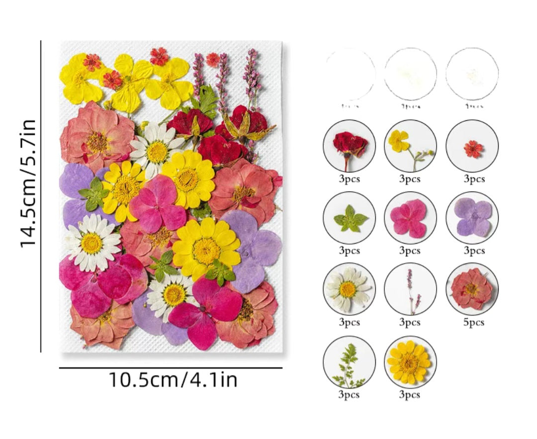 Dried flowers