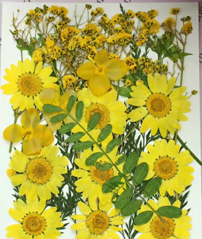 Dried flowers