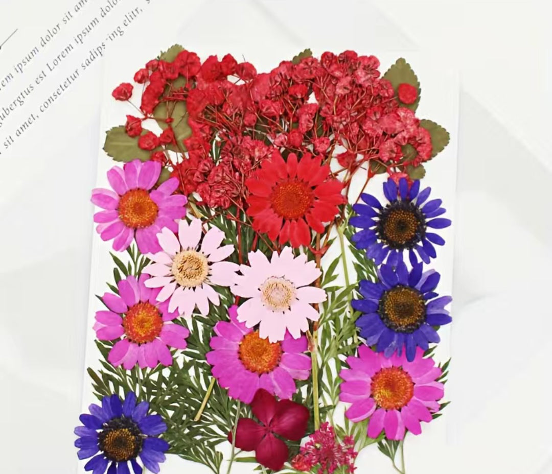 Dried flowers