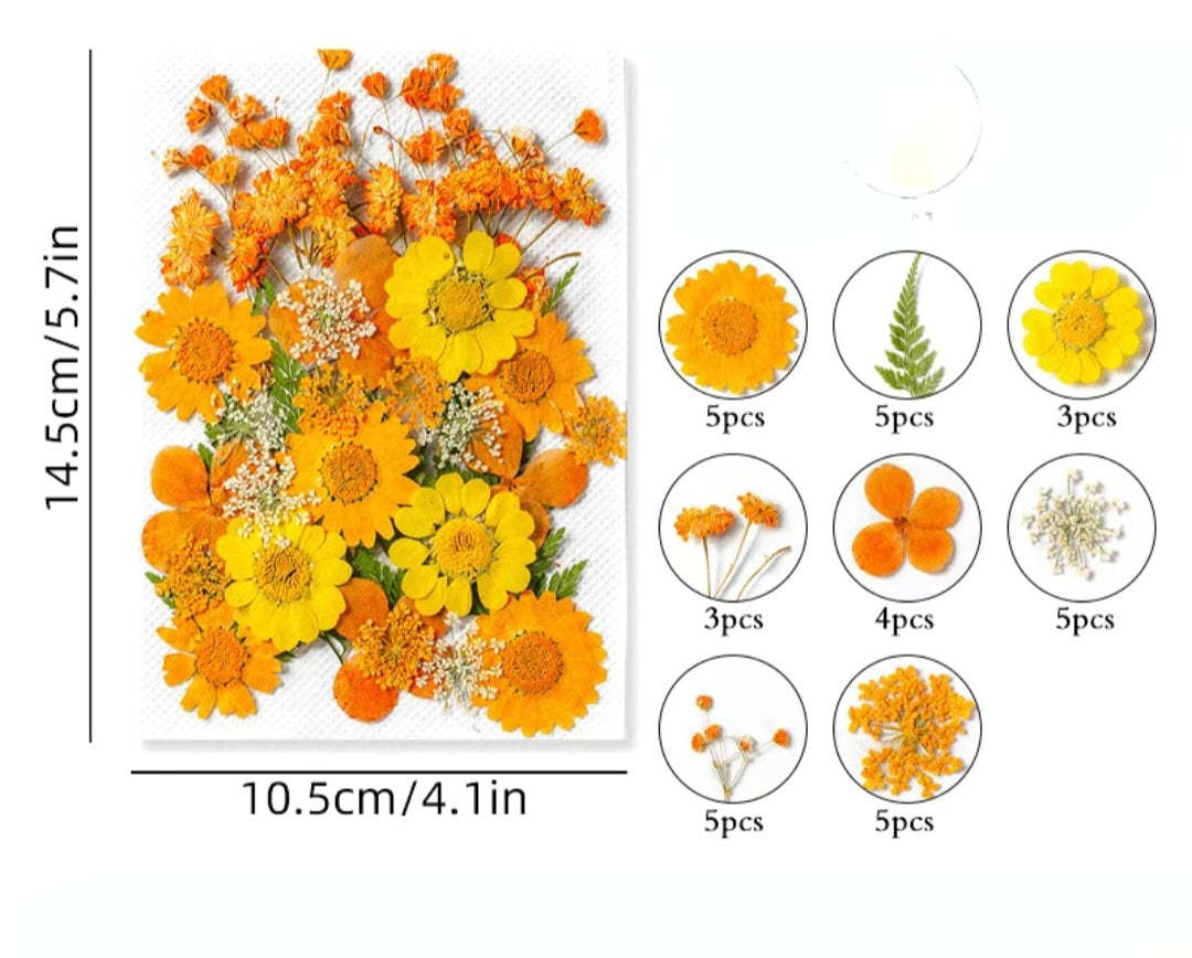 Dried flowers