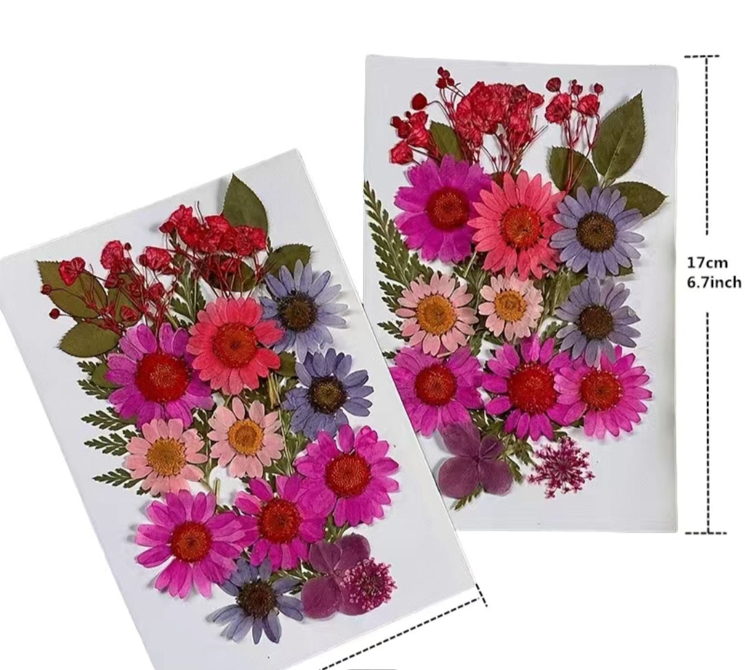 Dried flowers