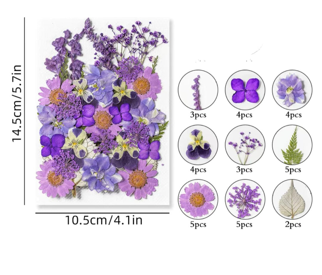 Dried flowers