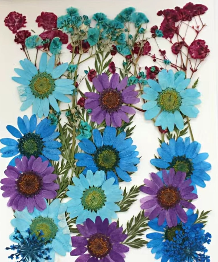 Dried flowers