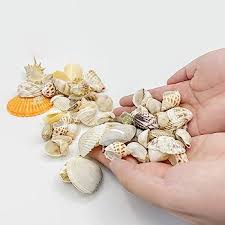 اصداف لعمل الرايزن